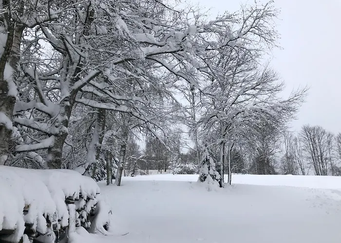 U Sjezdovky, Zadov 22 シャレー