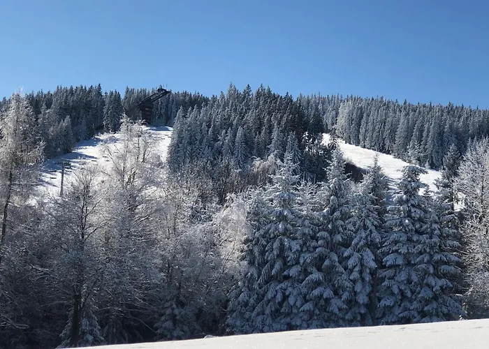 U Sjezdovky, Zadov 22 *
